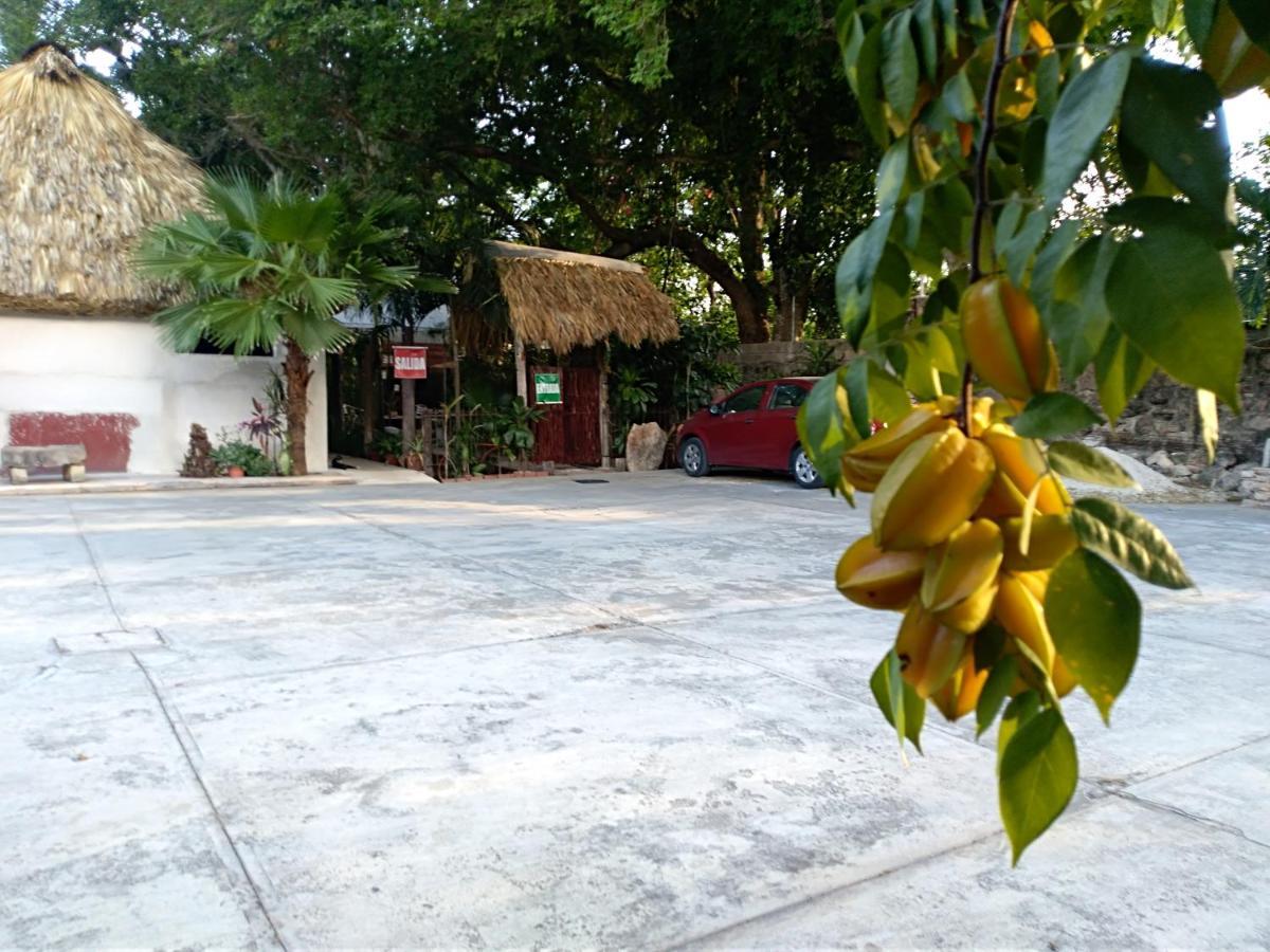 Posada El Jardin Hotel ตีคัล ภายนอก รูปภาพ