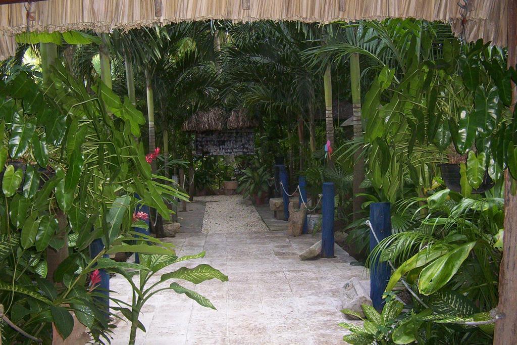 Posada El Jardin ตีคัล ภายนอก รูปภาพ