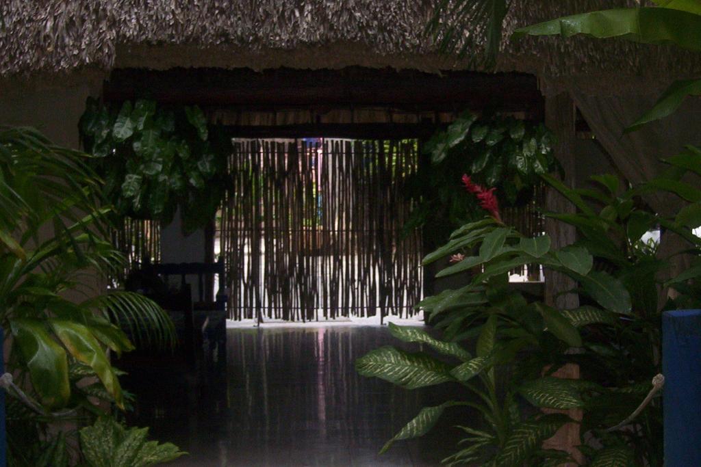 Posada El Jardin ตีคัล ภายนอก รูปภาพ
