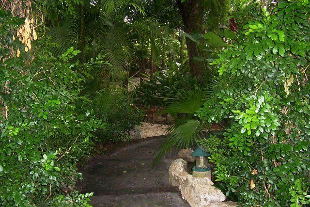 Posada El Jardin ตีคัล ภายนอก รูปภาพ