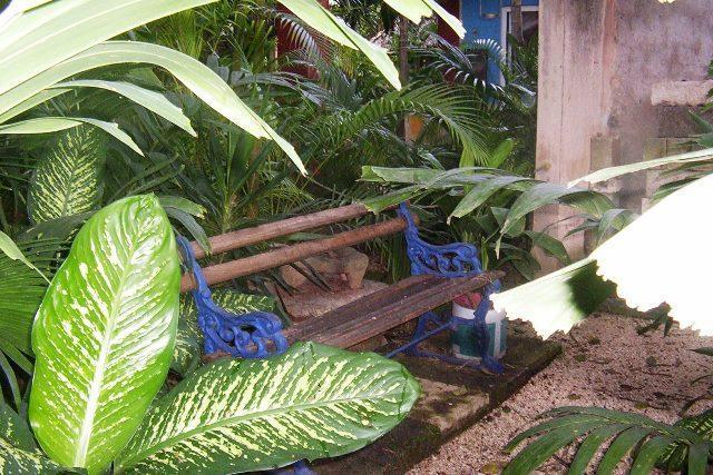 Posada El Jardin ตีคัล ภายนอก รูปภาพ