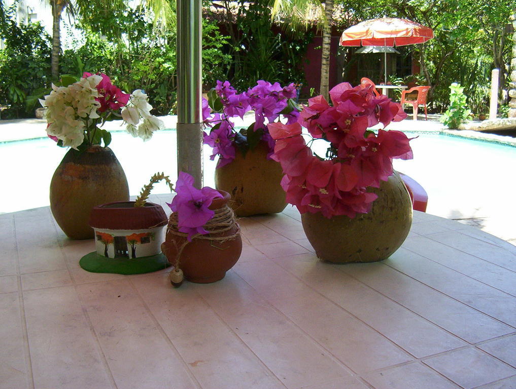Posada El Jardin ตีคัล ภายนอก รูปภาพ